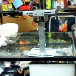 �i�J����