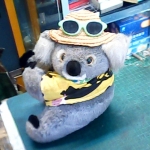 �i�J����