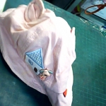 �i�J����