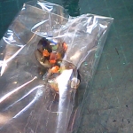 �i�J����