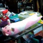 �i�J����