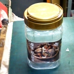 �i�J����