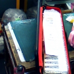 �i�J����