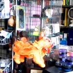 �i�J����