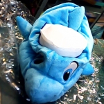 �i�J����