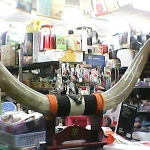 �i�J����