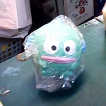 �i�J����