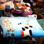 �i�J����