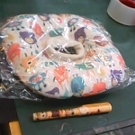 �i�J����