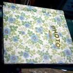 �i�J����