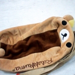 �i�J����