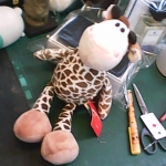 �i�J����